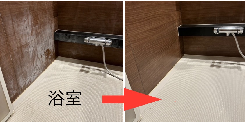 お客様の声と実績